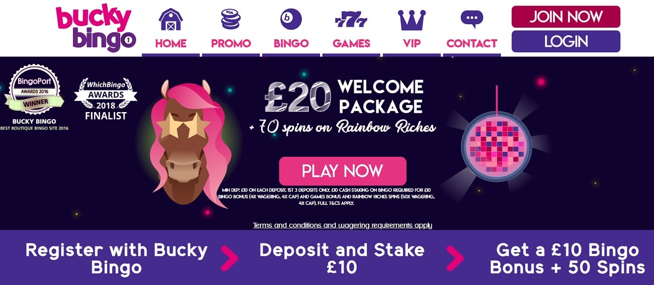 bucky bingo new player welcome bonus